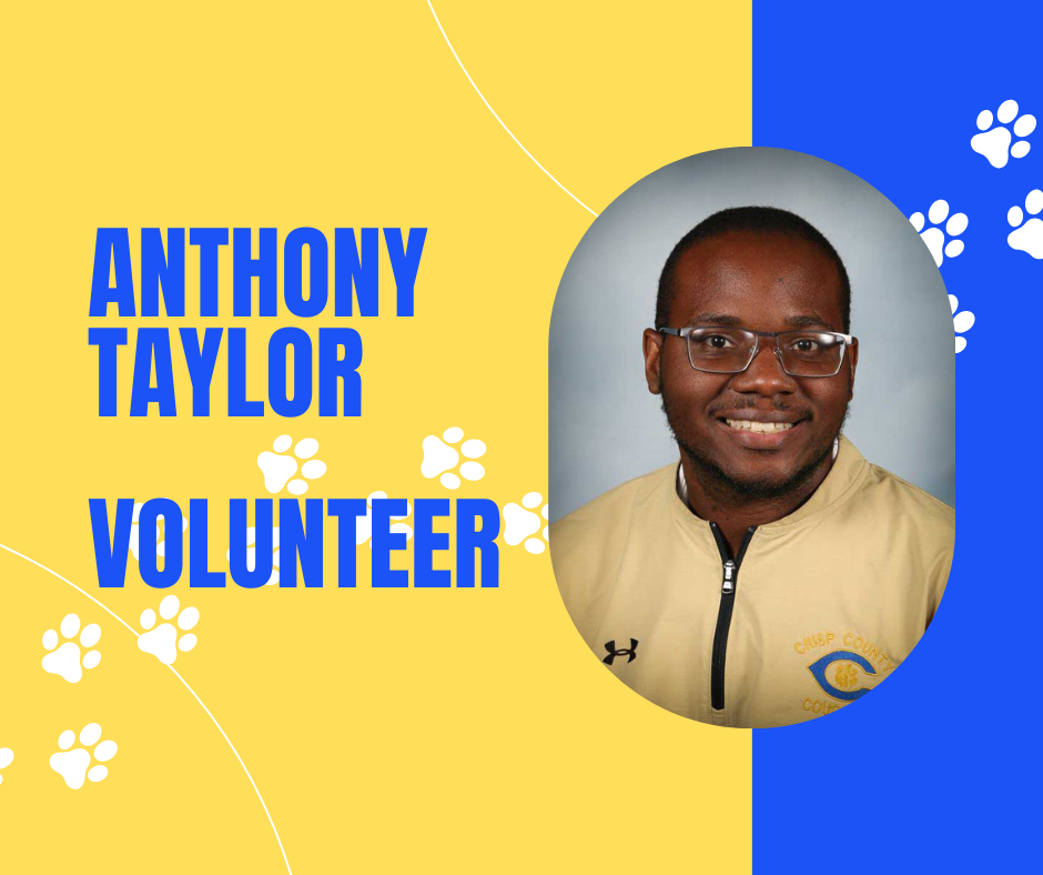 Volunteer