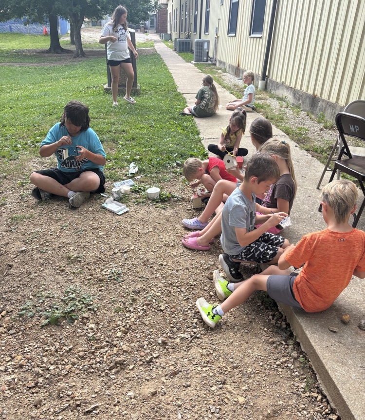 Making birdhouses!