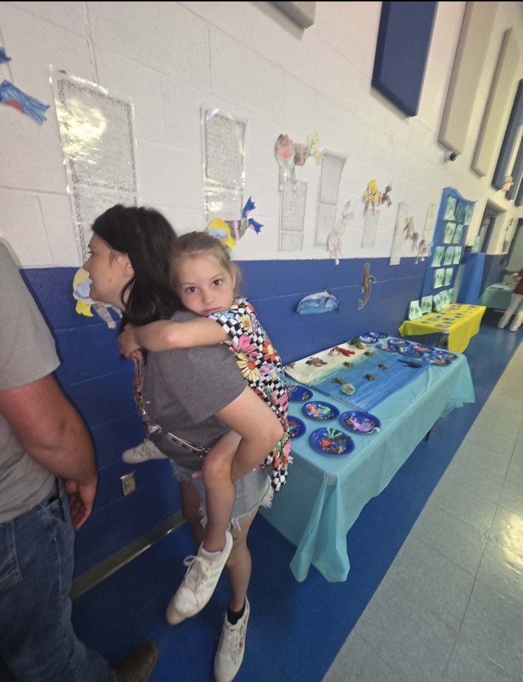 Under the Sea Summer School Program