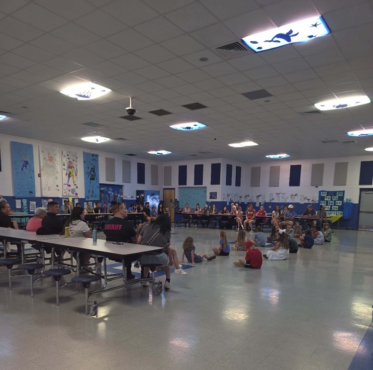 Under the Sea Summer School Program