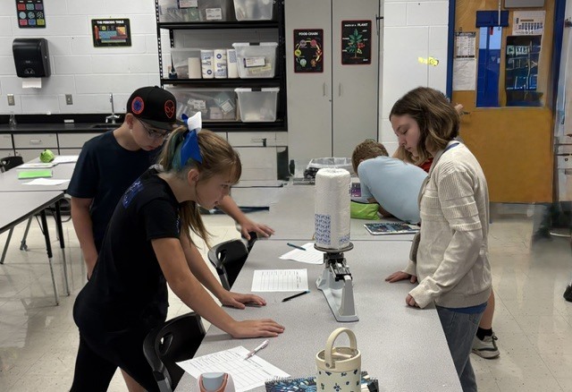 MS Measurement 7
