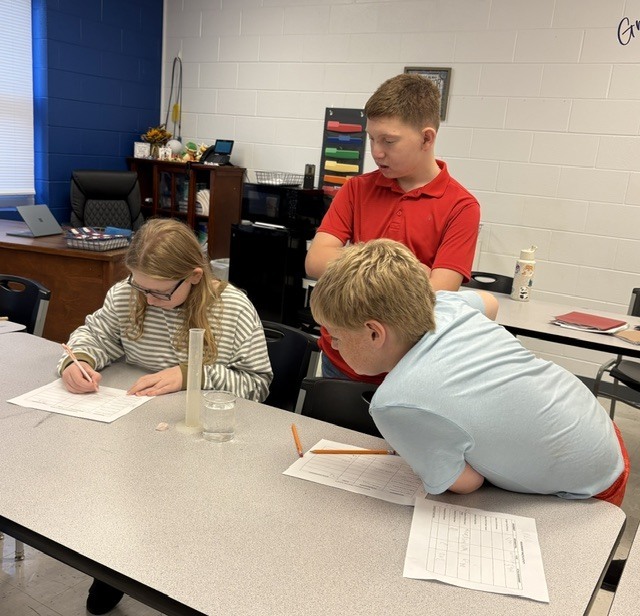 MS Measurement 4