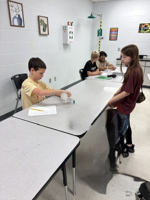 MS Measurement 2