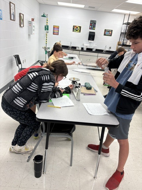 MS Measurement 3