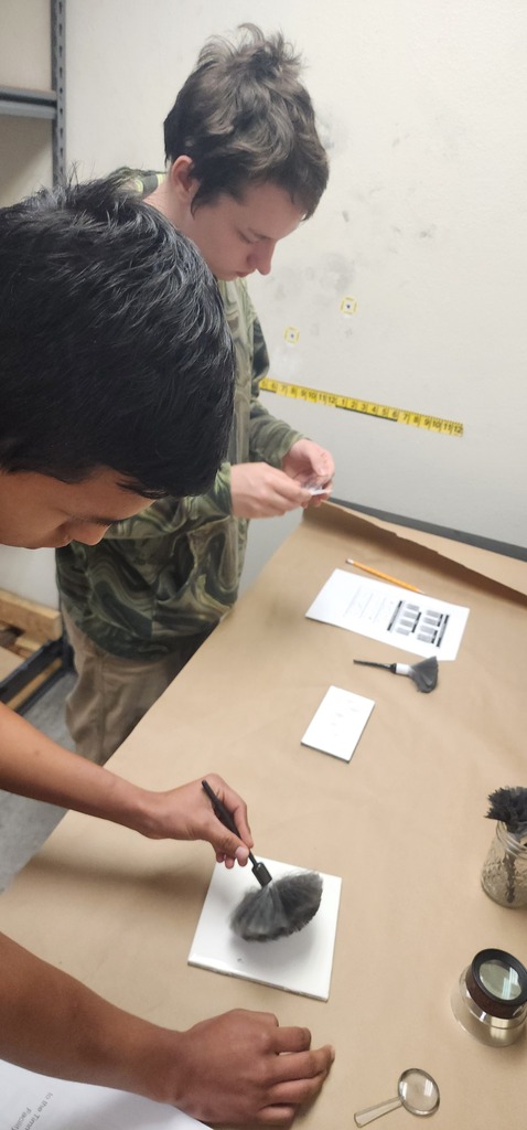 Forensics 4