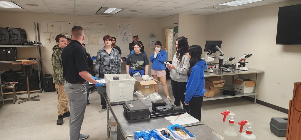 Forensics 3