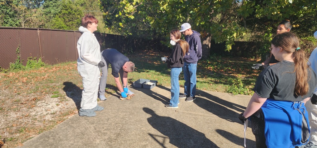 Forensics 3
