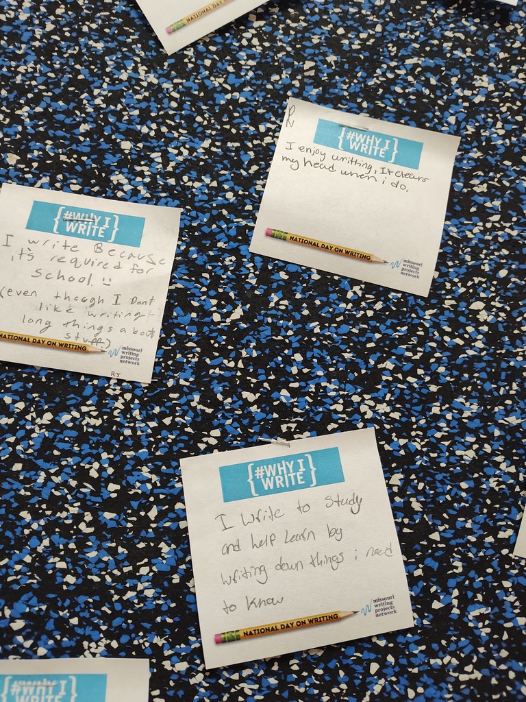 Writing Project 1