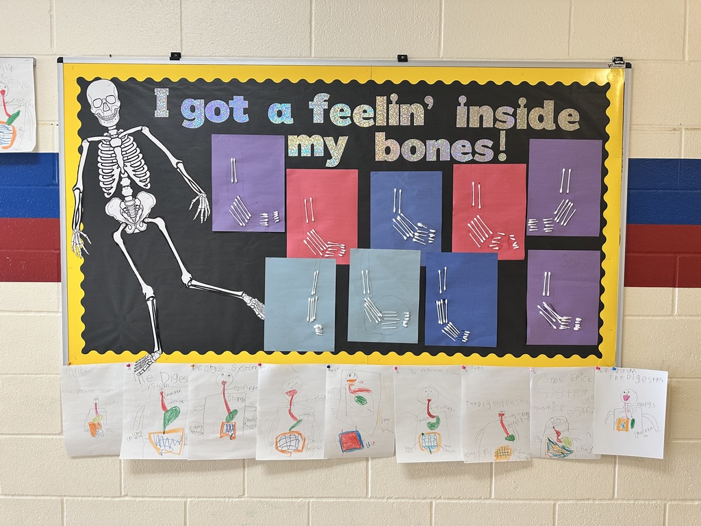 Crockett 1st Grade Science class were learning about bones this week and created masterpieces of skeletons.