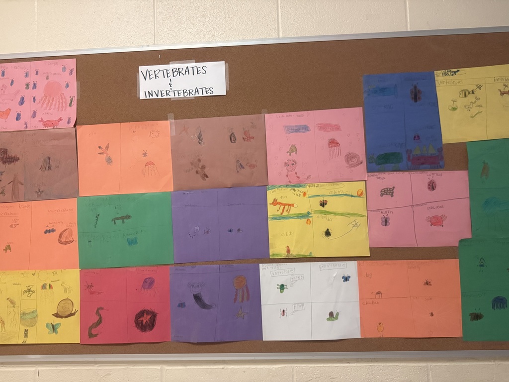 🦋🐍 Ms. Wooten’s 3rd graders wrapped up their vertebrates & invertebrates unit with colorful drawings—and they’re proudly on display! 🎨👏