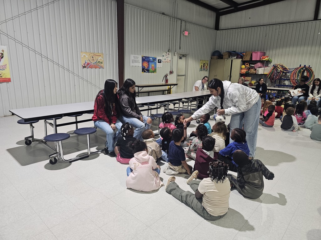 Bulldog Buddies in action