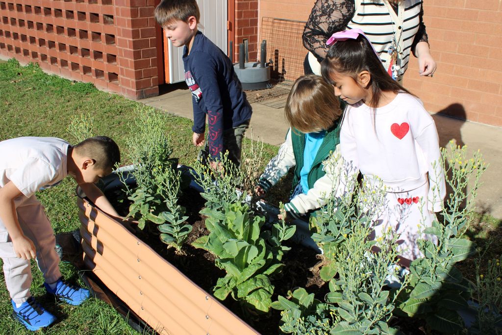 🌱 Growing Together at Crockett Elementary! 🌱 Mrs. Burgess’ 1st graders spent the day caring for their Growing Together Community Garden, and it’s thriving beautifully. They pruned away dead leaves, checked on the progress of their plants, and proudly saw the results of their hard work.  These young gardeners are learning, growing, and making their garden shine. 🌿✨