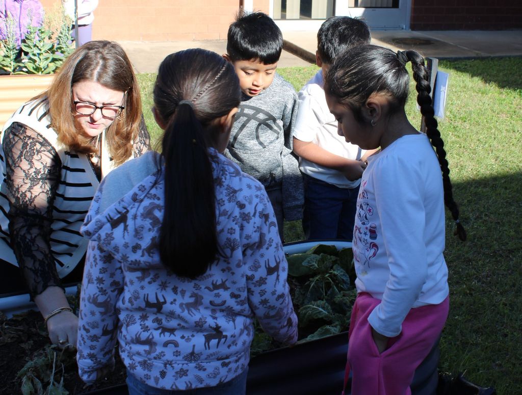 🌱 Growing Together at Crockett Elementary! 🌱 Mrs. Burgess’ 1st graders spent the day caring for their Growing Together Community Garden, and it’s thriving beautifully. They pruned away dead leaves, checked on the progress of their plants, and proudly saw the results of their hard work.  These young gardeners are learning, growing, and making their garden shine. 🌿✨
