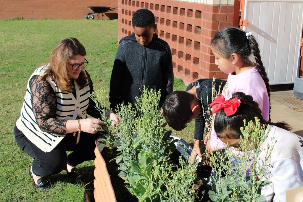 🌱 Growing Together at Crockett Elementary! 🌱 Mrs. Burgess’ 1st graders spent the day caring for their Growing Together Community Garden, and it’s thriving beautifully. They pruned away dead leaves, checked on the progress of their plants, and proudly saw the results of their hard work.  These young gardeners are learning, growing, and making their garden shine. 🌿✨