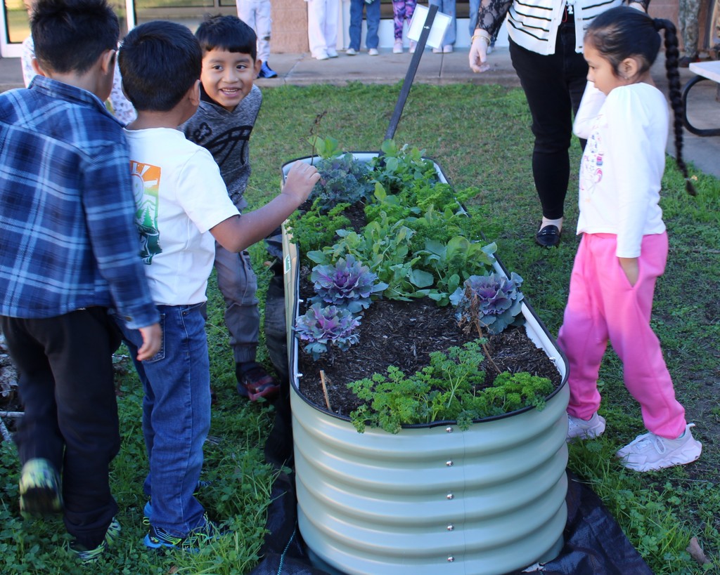 🌱 Growing Together at Crockett Elementary! 🌱 Mrs. Burgess’ 1st graders spent the day caring for their Growing Together Community Garden, and it’s thriving beautifully. They pruned away dead leaves, checked on the progress of their plants, and proudly saw the results of their hard work.  These young gardeners are learning, growing, and making their garden shine. 🌿✨