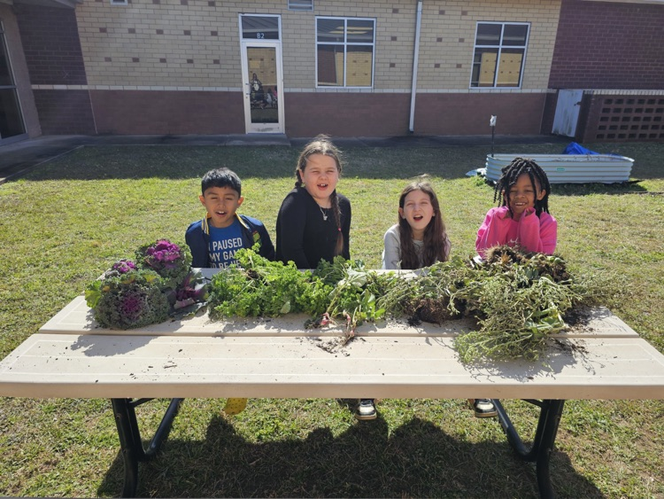 1st and 2nd grade GT students harvesting the garden. 