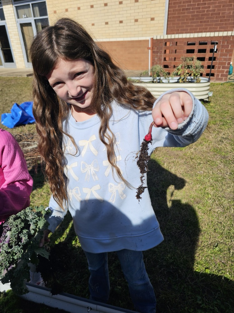 1st and 2nd grade GT students harvesting the garden. 
