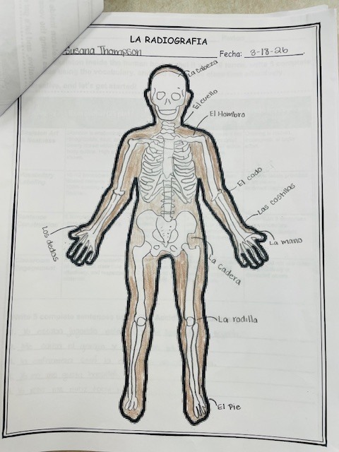In Spanish 2, students recently completed the lesson “Un Accidente,” where they expanded their vocabulary by learning and identifying body parts in Spanish. They also strengthened their writing skills by describing injuries and labeling parts of the body using correct grammar and spelling. We are proud of their dedication, participation, and continued growth in developing their language proficiency. ¡Buen trabajo, estudiantes! 👏