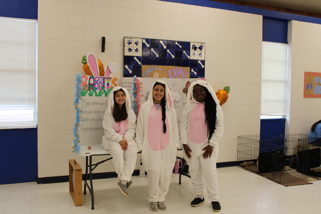 🐰 Looking for something fun to do with the kids today?   Our Bunny Tails event is happening right now in the CISD Administration Cafetorium!  Bring the family out for some springtime fun, activities, and a special visit with the Easter Bunny. Come join us and make some sweet memories together!