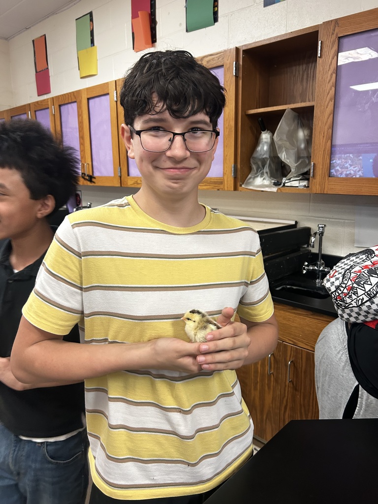 Ms. Naismith’s 7th graders have been busy observing chicks in their incubator, and this week they finally got to watch them hatch. The students have shown incredible attention to detail and so much enthusiasm throughout the process. Now the real fun begins as we care for our new chicks and watch them grow.