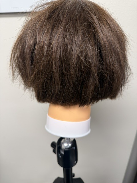 Crockett Cosmetology 2 brought the style and skill today — our students jumped into advanced Bob techniques, mastering the trendy Bixie and the classic, precision‑cut French Bob. Their confidence, creativity, and technical growth are shining through every snip. ✂️✨