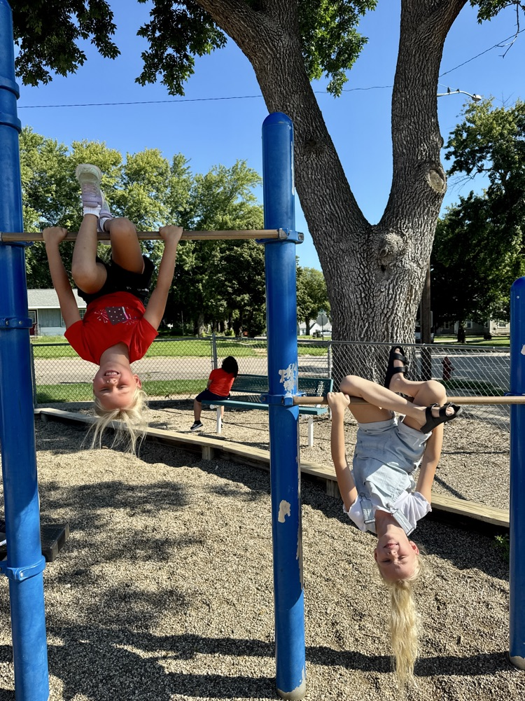 Monkey bars
