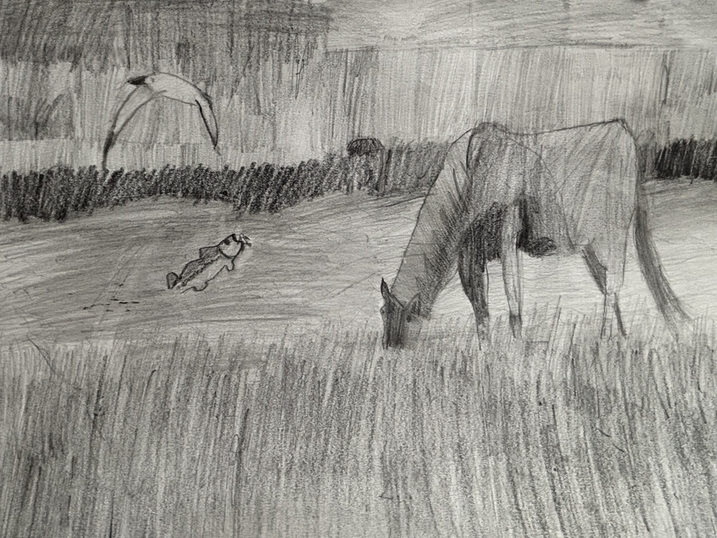 Jarrett's drawing