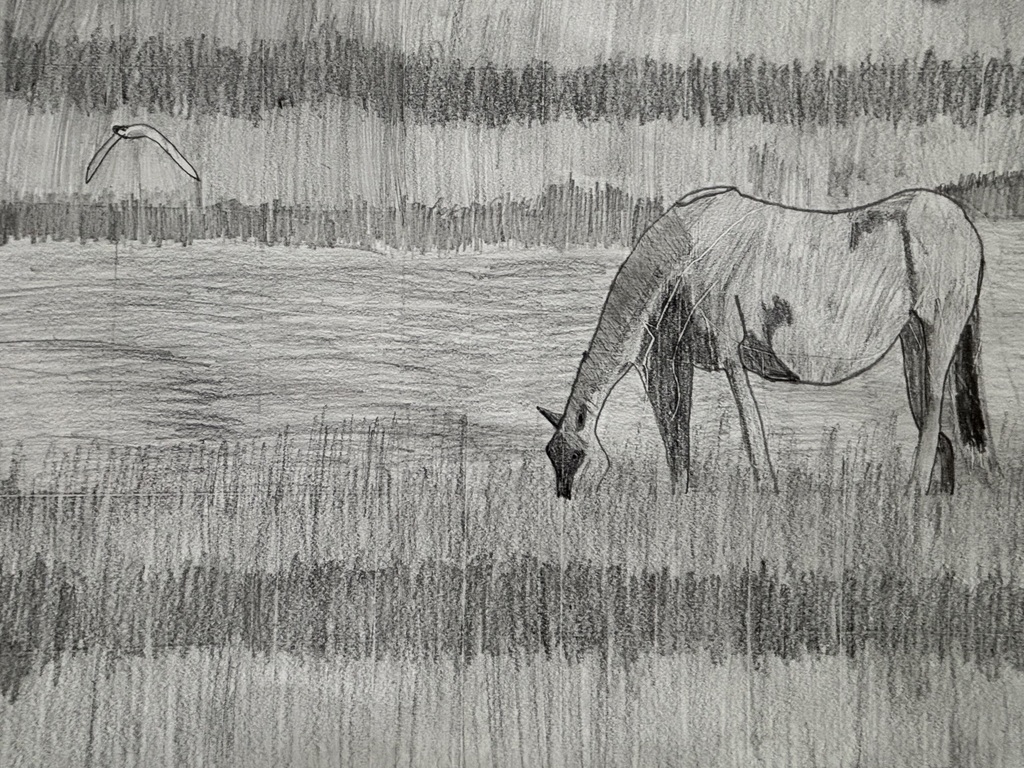 Colton's drawing