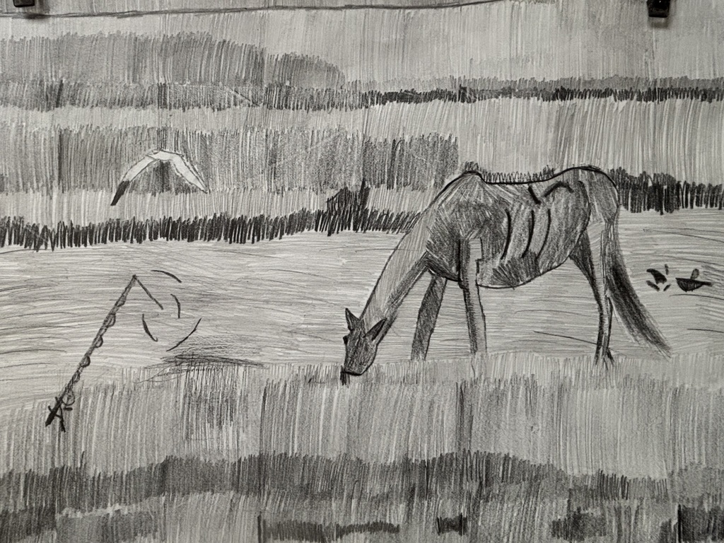 Bode's drawing