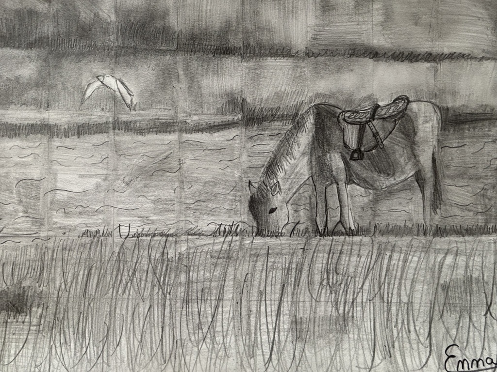 Emma's drawing