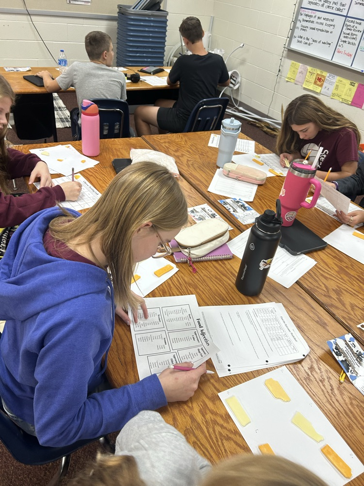 Students observing cheese samples