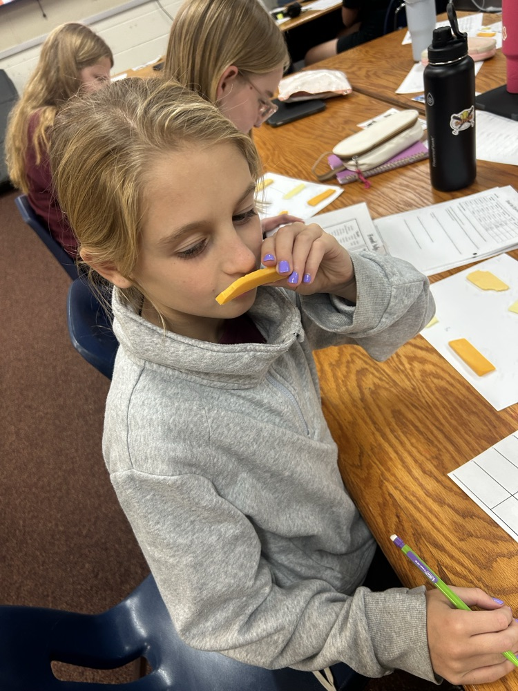 Student taking aroma observations of cheese