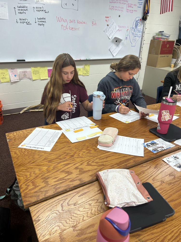 Students observing cheese samples
