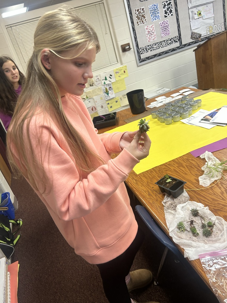 Student practicing asexual propagation