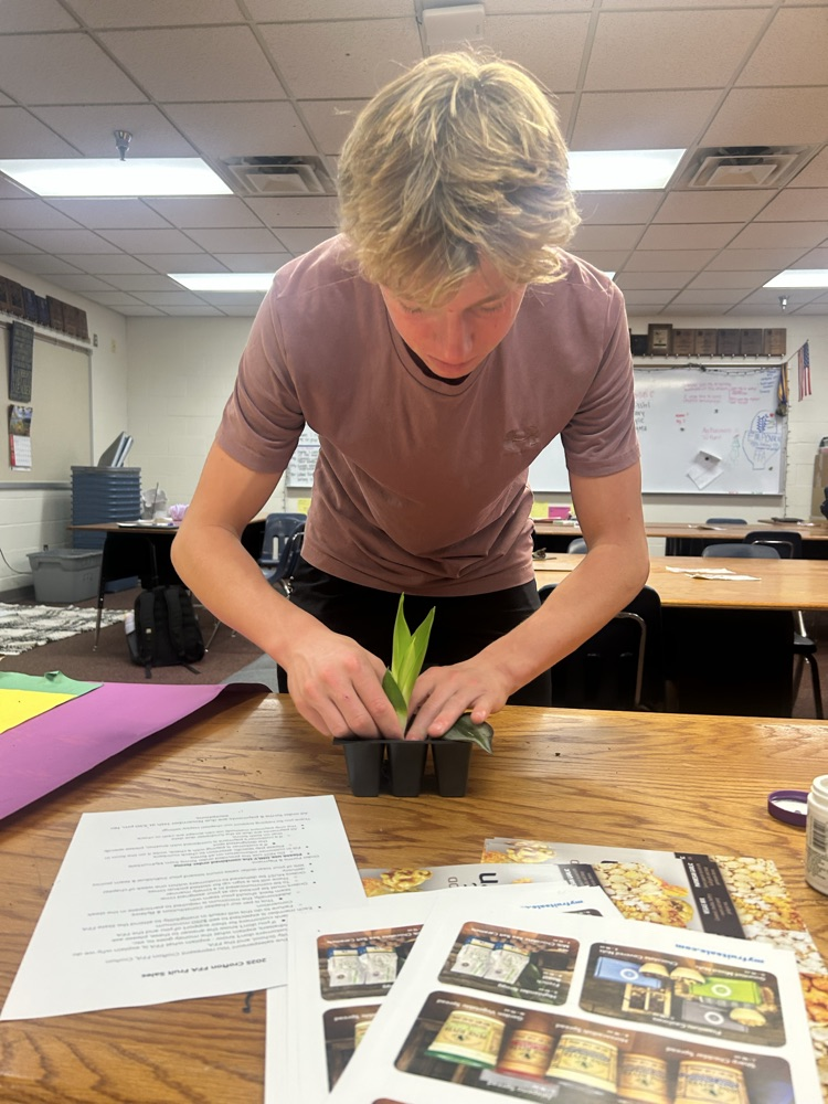 Student practicing asexual propagation