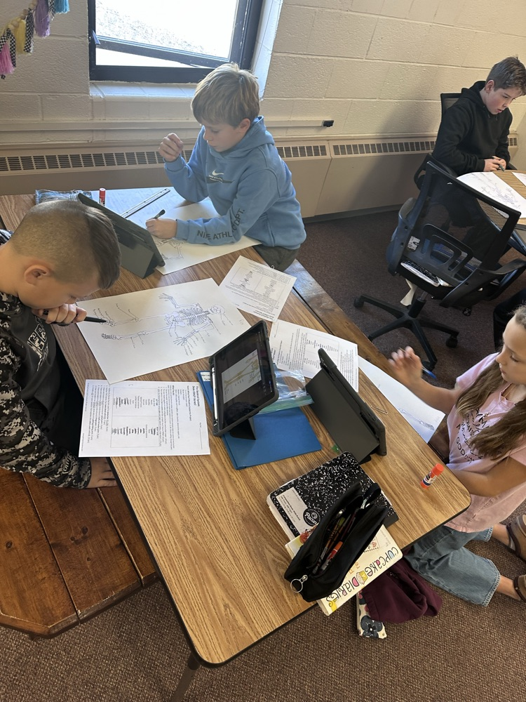 6th grade science students built skeleton models to show their knowledge and creativity! #warriorway