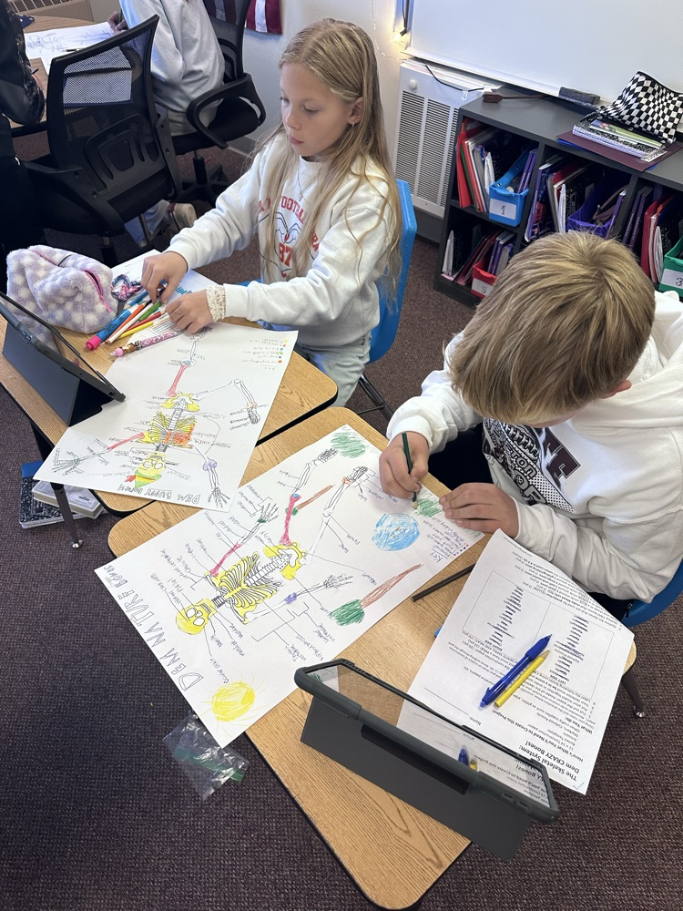 6th grade science students built skeleton models to show their knowledge and creativity! #warriorway