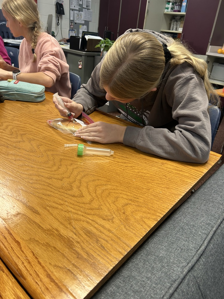 Student uses model to practice injections