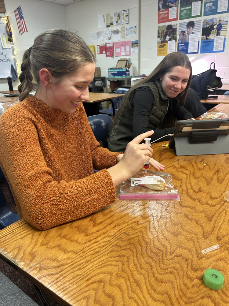 Student uses model to practice injections