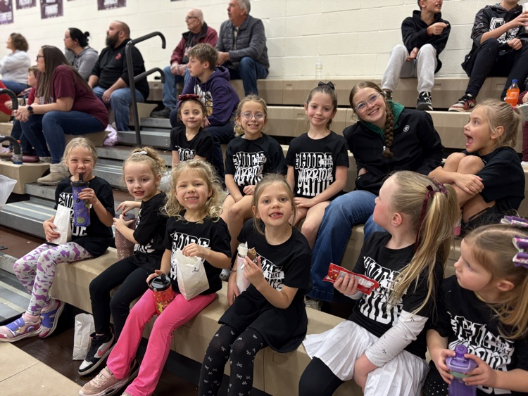 cheerleaders in stands at game