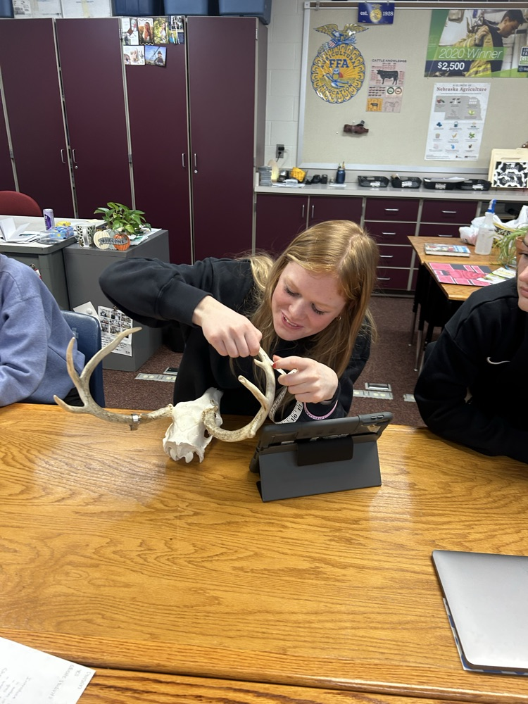Student practicing antler scoring