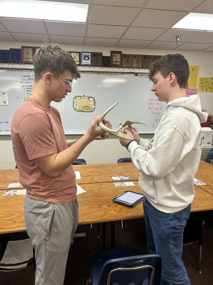 Students practicing antler scoring