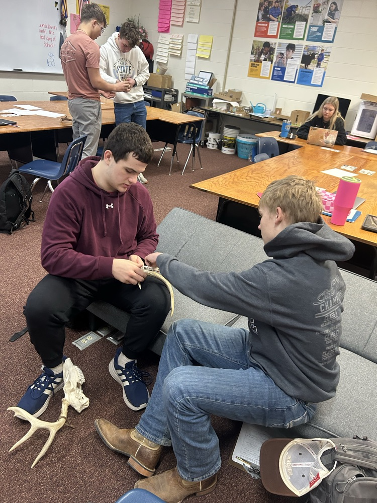 Students practicing antler scoring