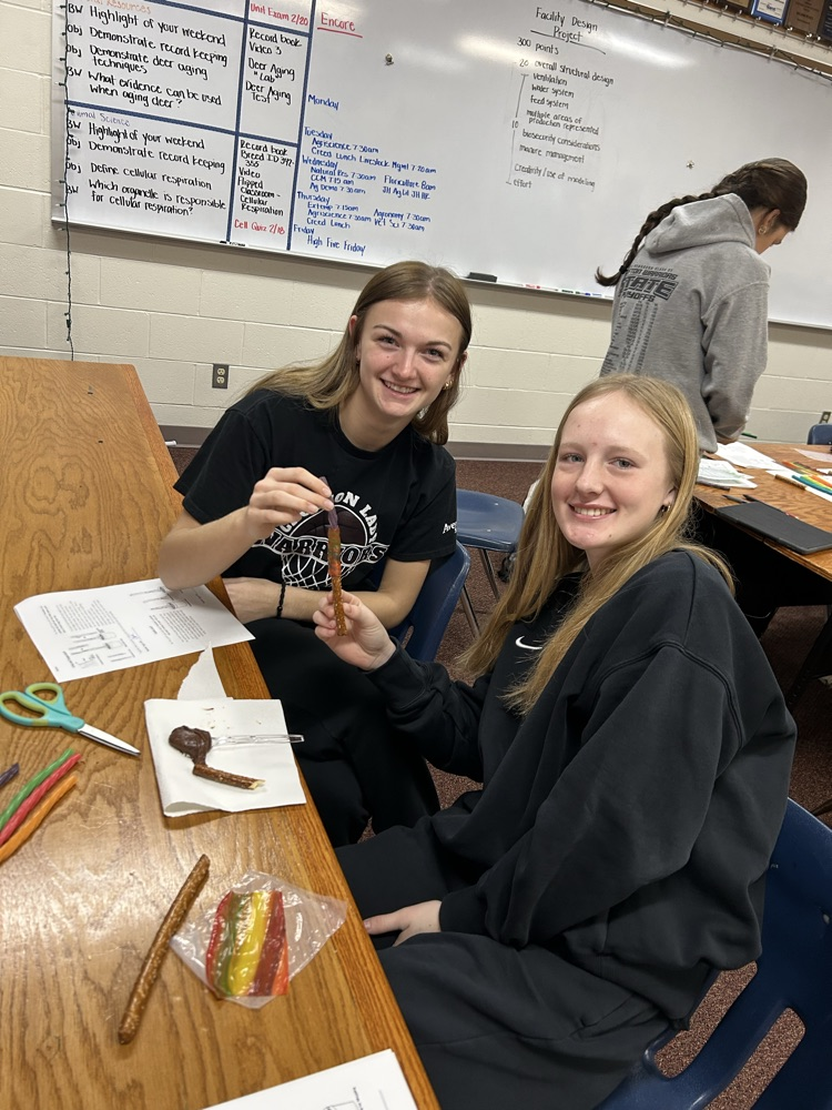 Students with their models.