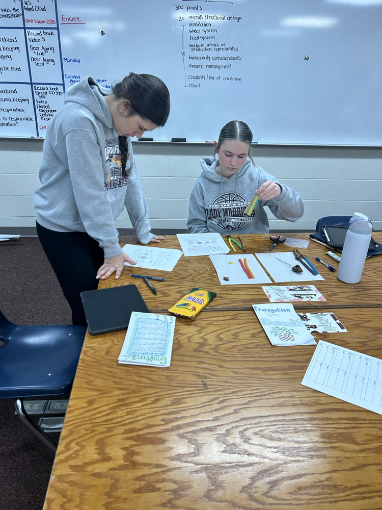 Students building their models.