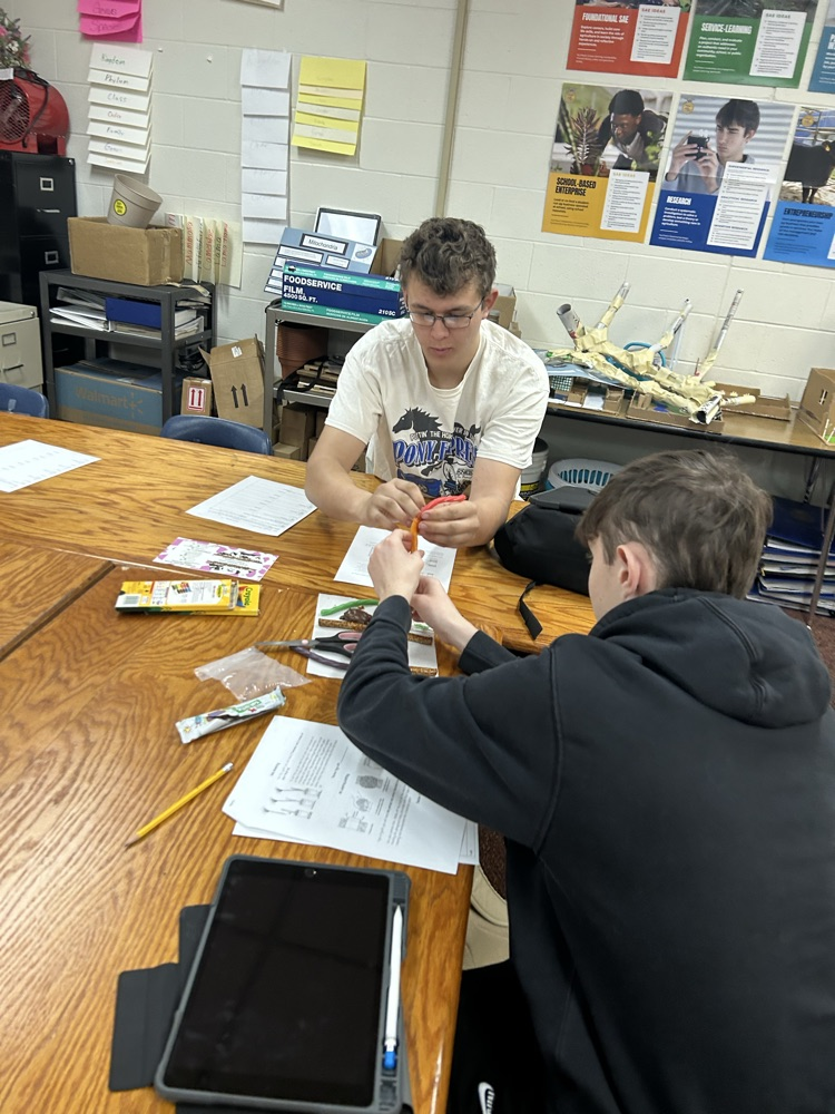 Students building their models.