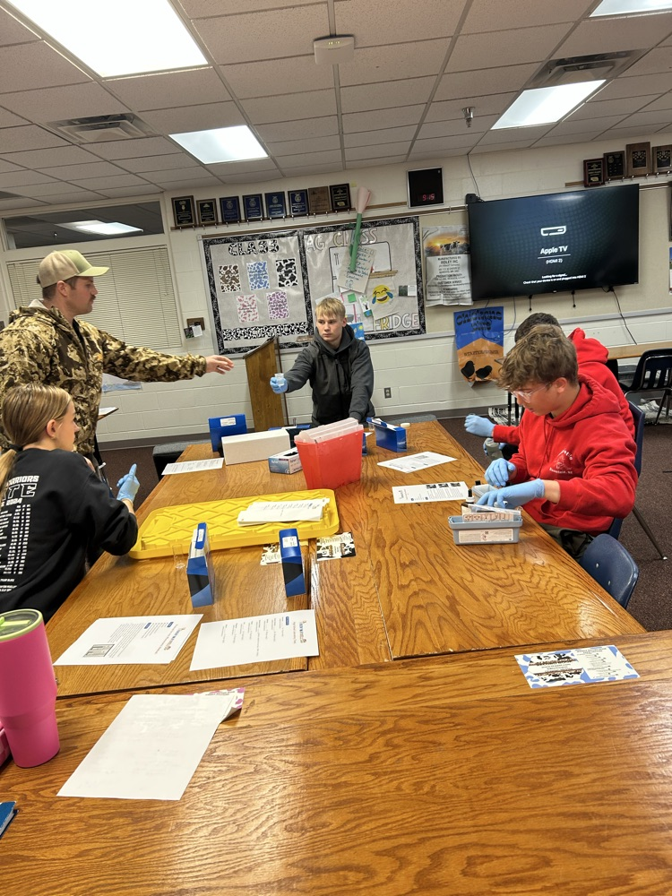 Students completing lab tests