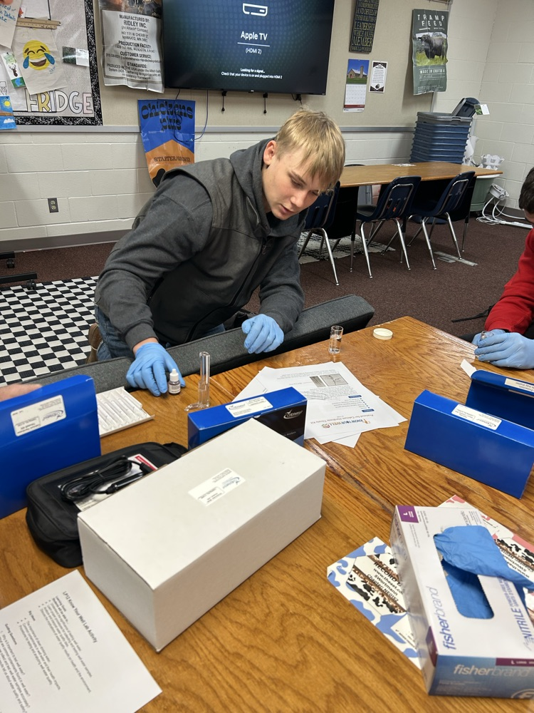 Student completing a lab test