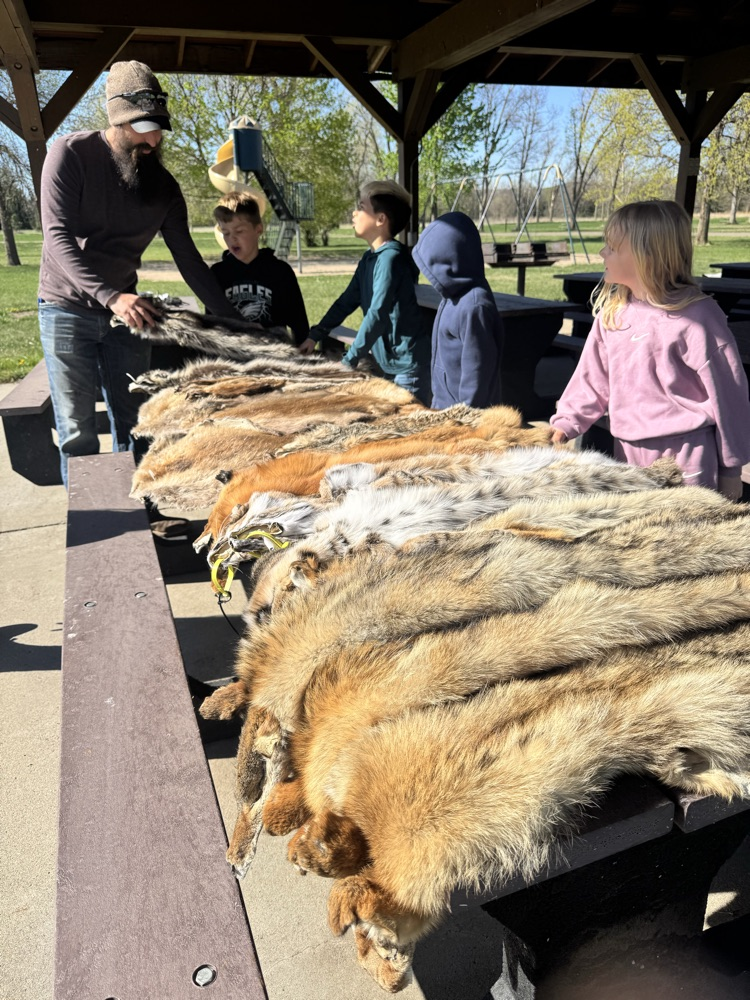 first graders looking at animal furs