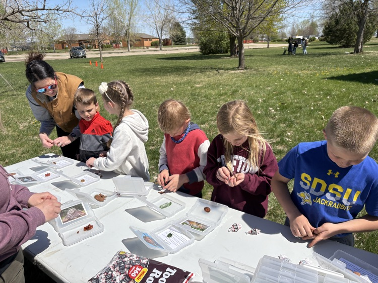 first graders making model animal scat using tootsie rolls 
